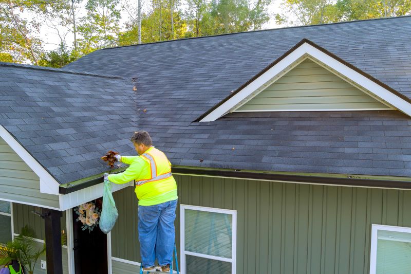 Maintained Gutter Systems